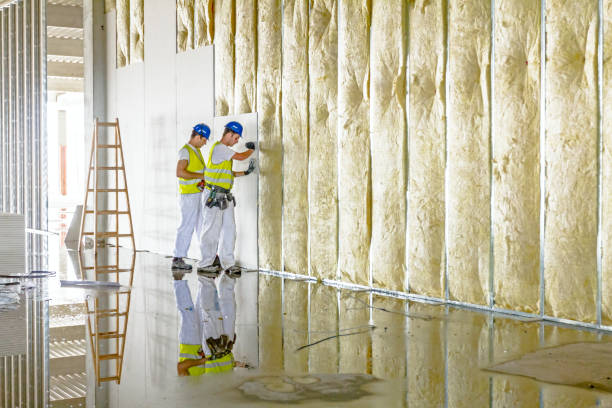 Best Insulation for Specific Applications in Buffalo, NY